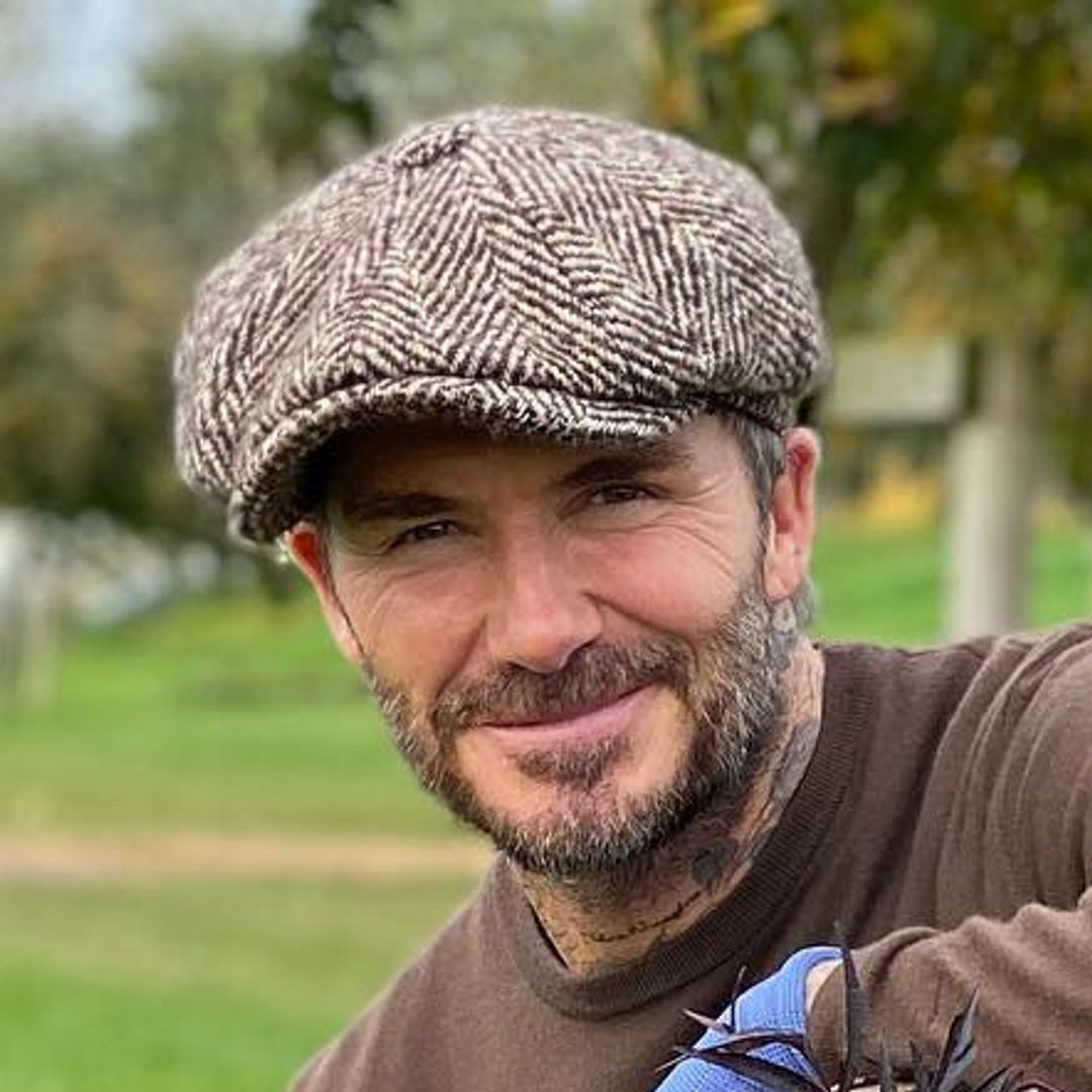 David Beckham's incredible garden at £12m Cotswolds home is a feast for the eyes