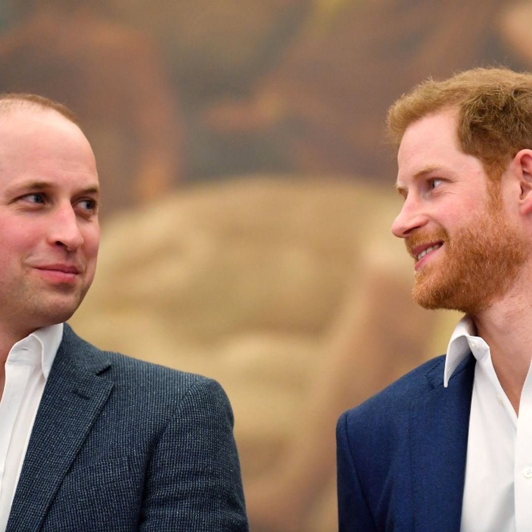 Prince William and Prince Harry join forces to honour the winners of Princess Diana award