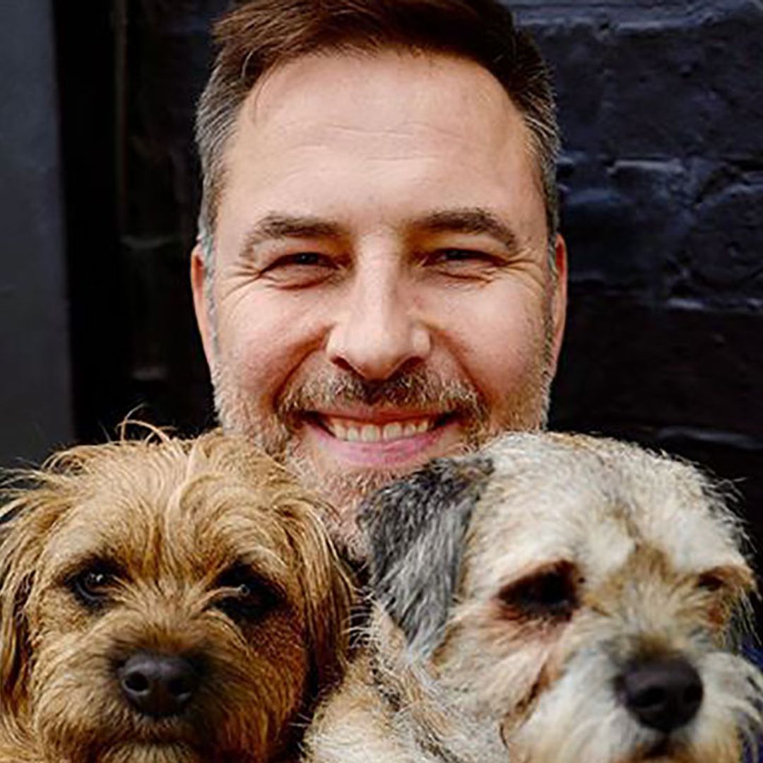 David Walliams has the best reaction after reuniting with his mum as lockdown measures ease