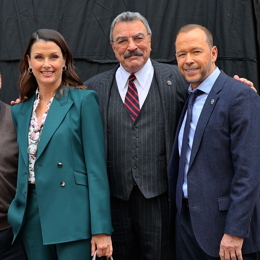 Why Did Linda From Blue Bloods Leave The Show Why Linda Reagan really left Blue Bloods revealed | HELLO!