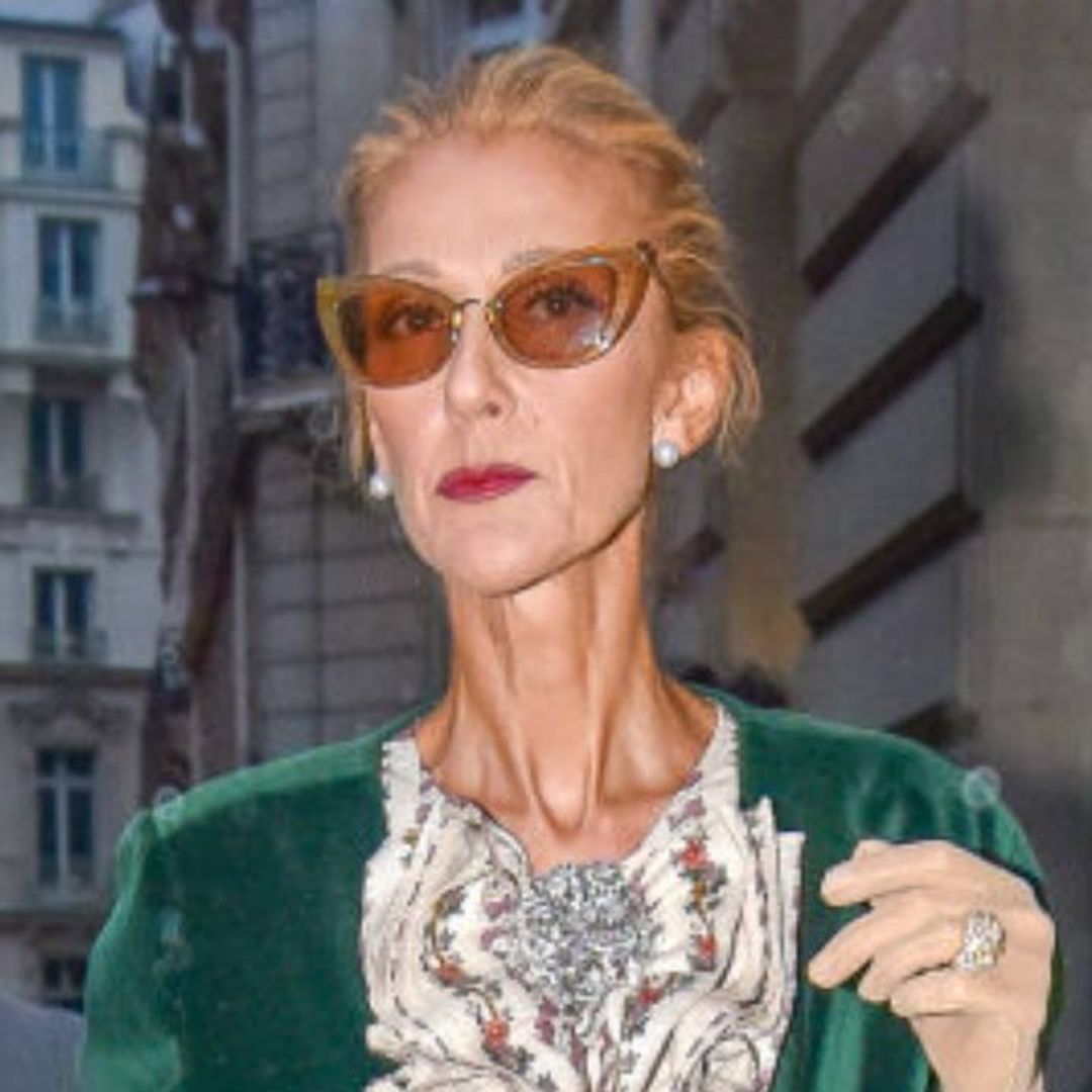 Celine Dion 'spotted in Toronto' as health woes continue - see photo