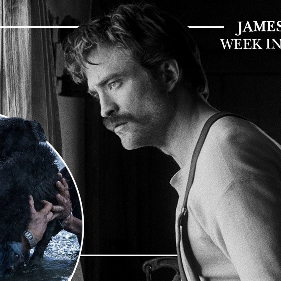 R Patz and Alligators! James King’s Week in Movies. 
