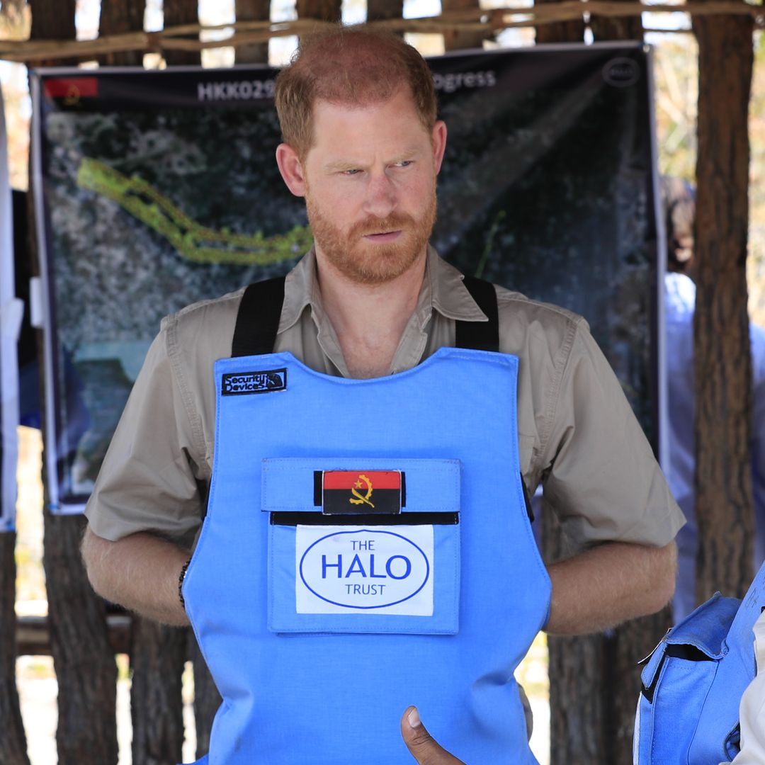 Prince Harry recreates Princess Diana's famous photo as he visits minefield