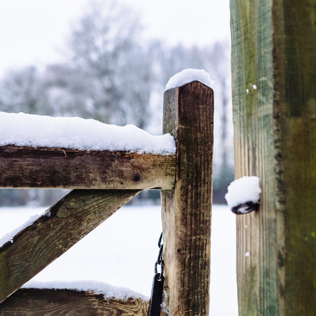 Idyllic UK places to see snow this Christmas - including the 'City of Chocolate'