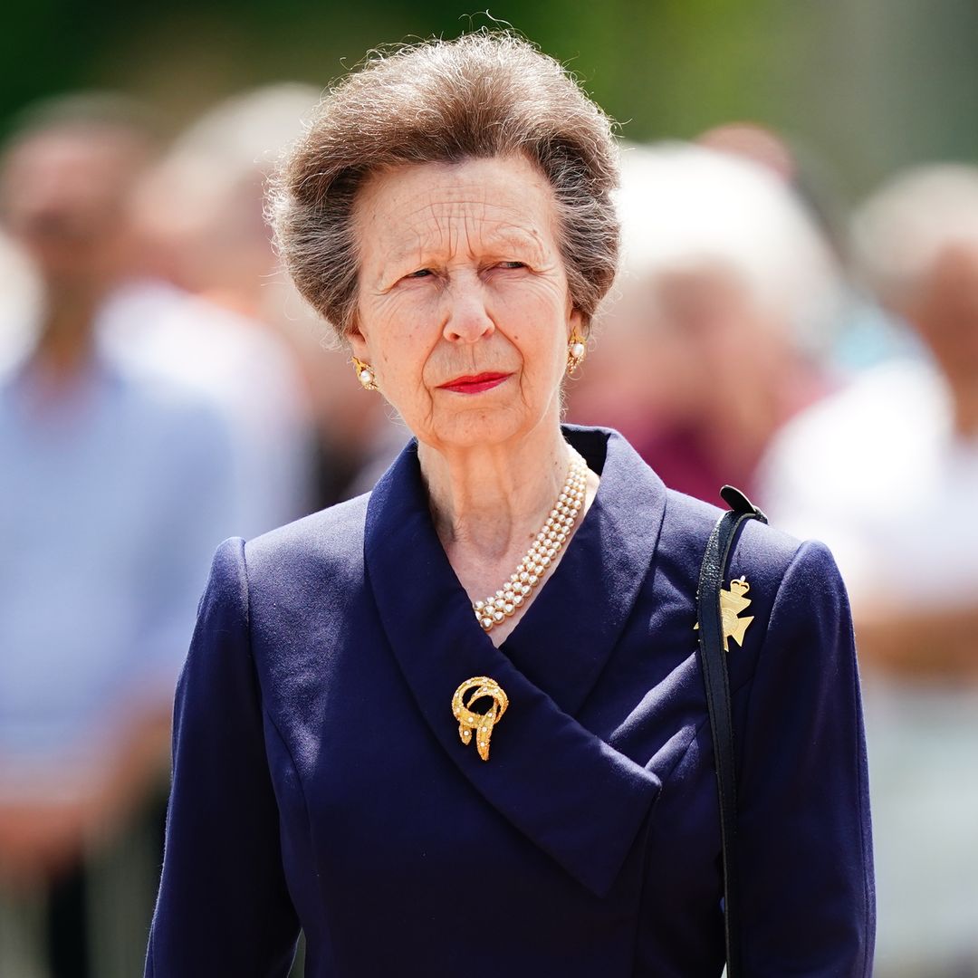 Princess Anne in hospital with concussion after being injured by horse at Gatcombe Park home