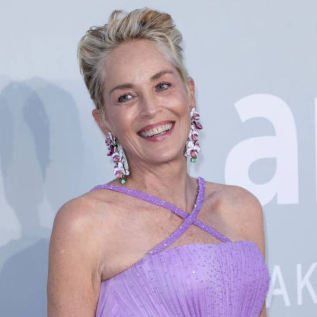 Sharon Stone wows in racy black bra and fans are astonished
