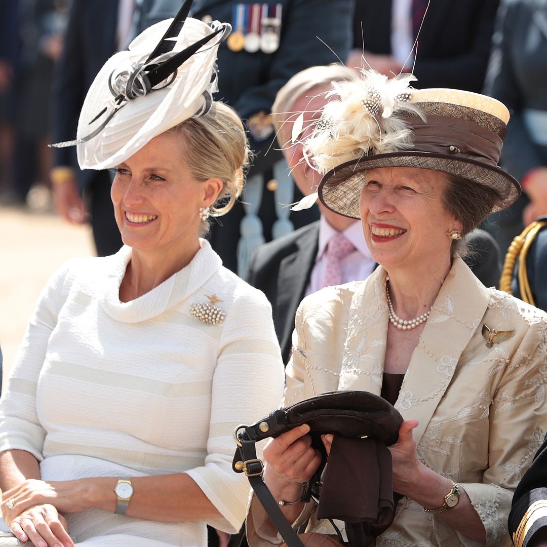 Princess Anne and Duchess Sophie among royals primed to step up during King Charles and Princess Kate's hospitalisations