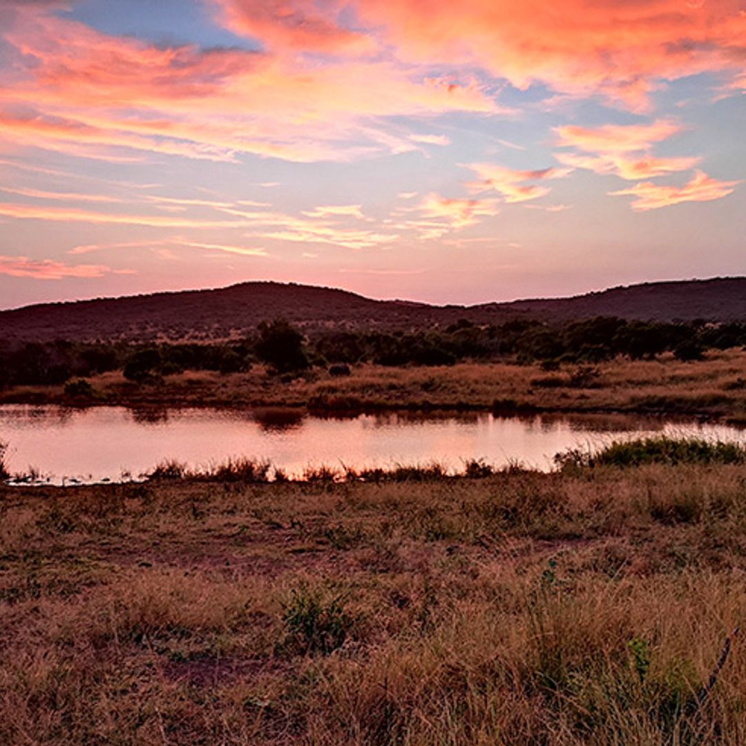 A royal-ready African safari - and how to take pictures you'll cherish forever