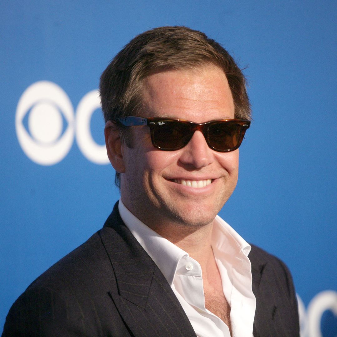 NCIS star Michael Weatherly's forgotten romance with Rod Stewart's ex – details