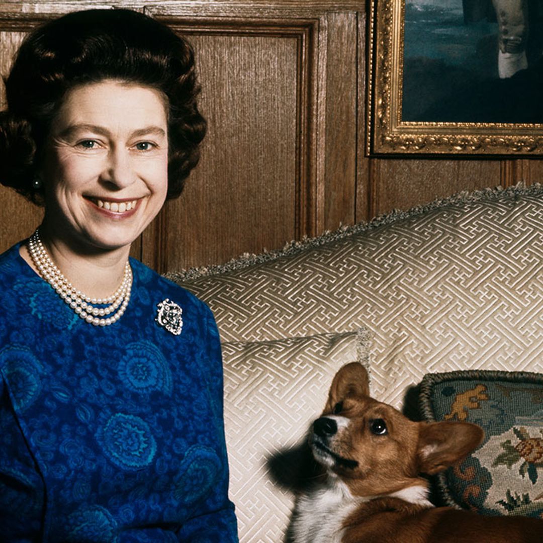 The Queen's pet corgis just landed their own film – and George and Charlotte will love it!