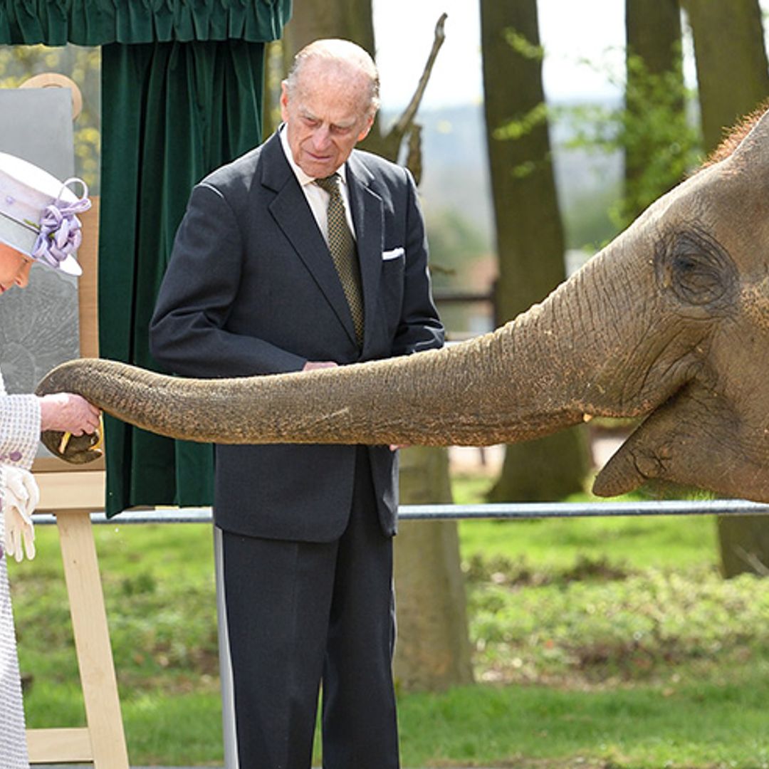 The Queen thrilled to meet Elizabeth the baby elephant