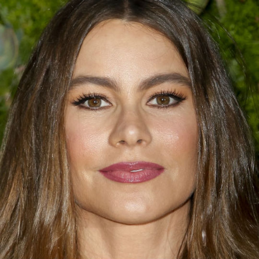 Sofia Vergara looks unrecognisable with new hairstyle – take a look