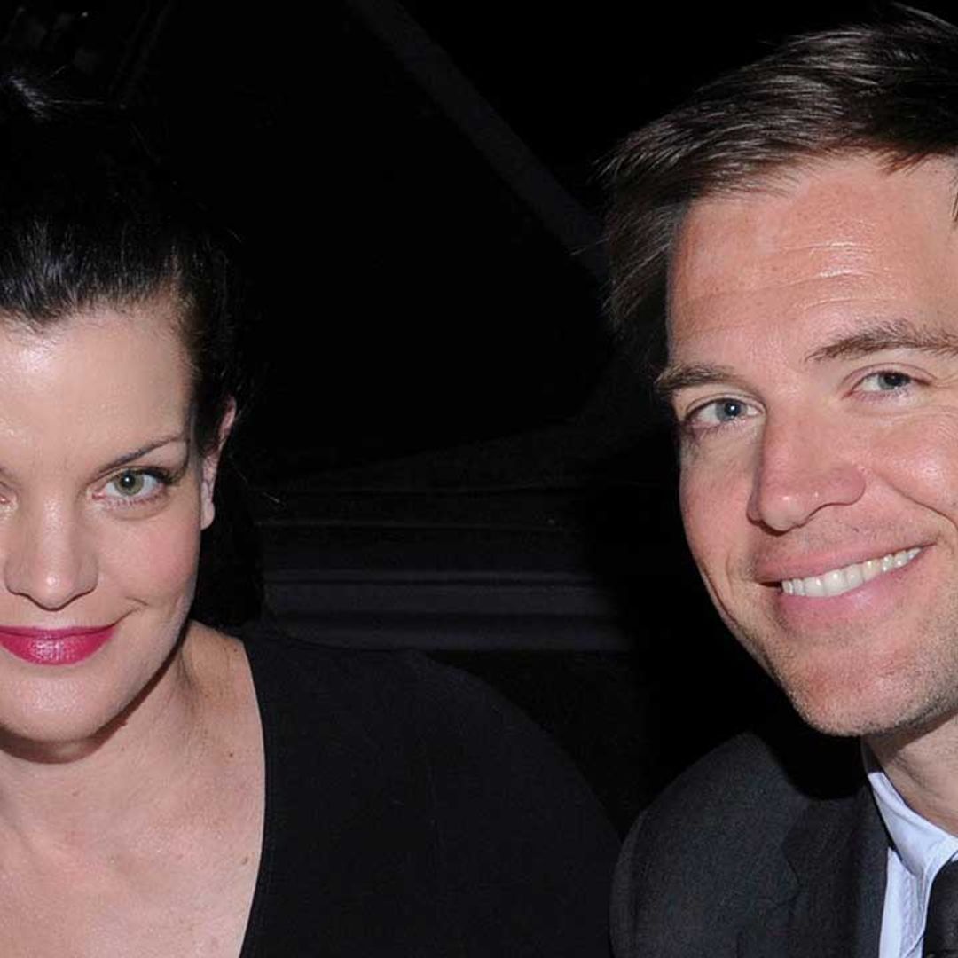 NCIS' Michael Weatherly and Pauley Perrette reunite for worthy cause