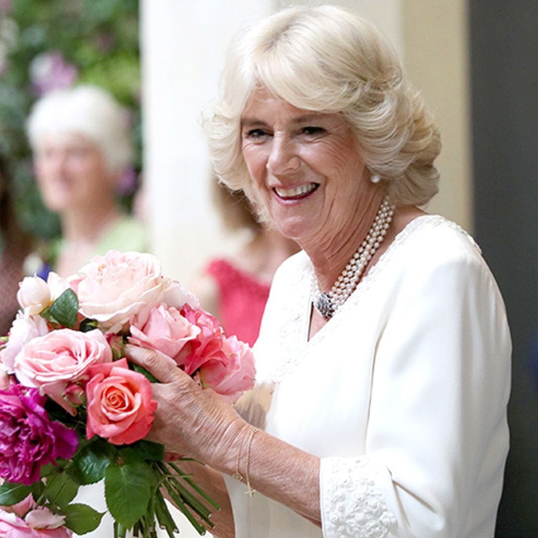 The Duchess of Cornwall gives us all a lesson on how to accessorize - dazzling in a cream cocktail dress