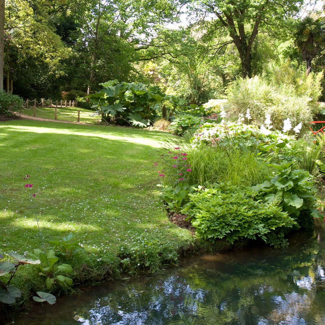 The true cost of a south-facing garden - and why over 50s are shunning them