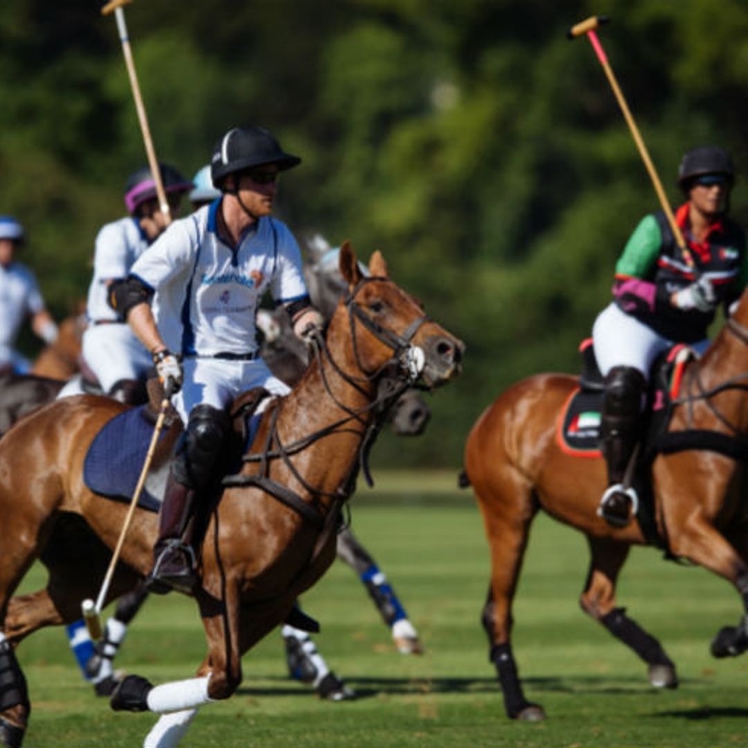 Prince Harry surprises at polo match  - but was Meghan cheering from the sidelines?