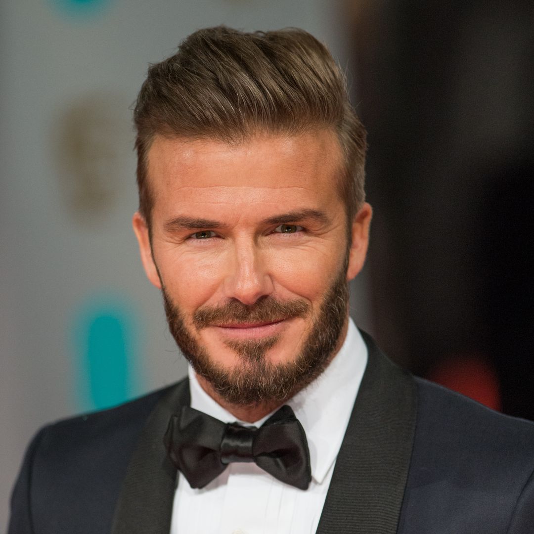 David Beckham and daughter Harper's 'beautiful bond' is evident in new family photos