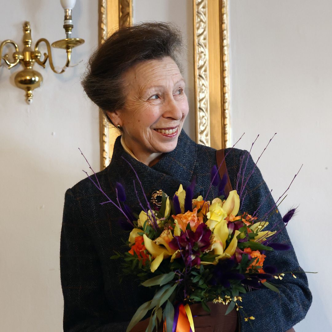 Princess Anne looks divine in flippy brown skirt and fitted blazer for poignant engagement