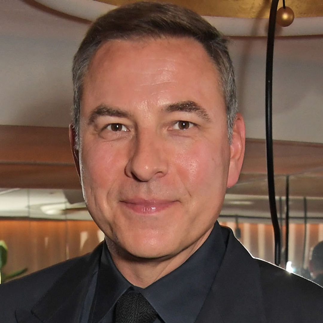 David Walliams sparks fan reaction with adorable new family photo