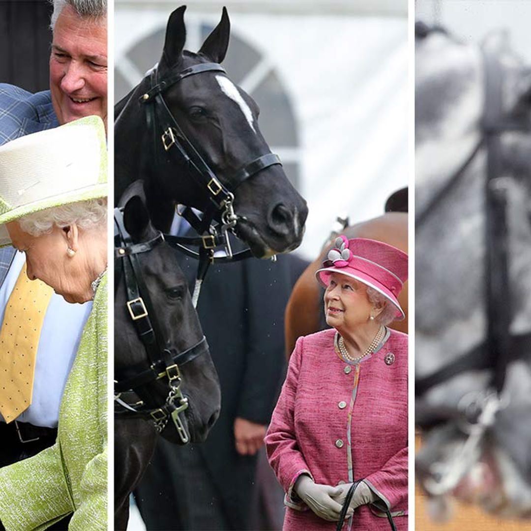 10 times the Queen went gooey-eyed over horses