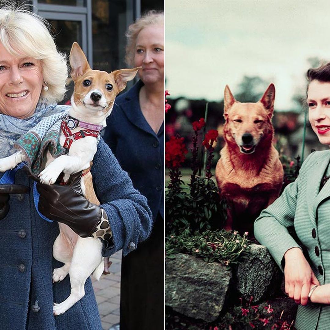 13 royals and their beloved pet dogs in photos