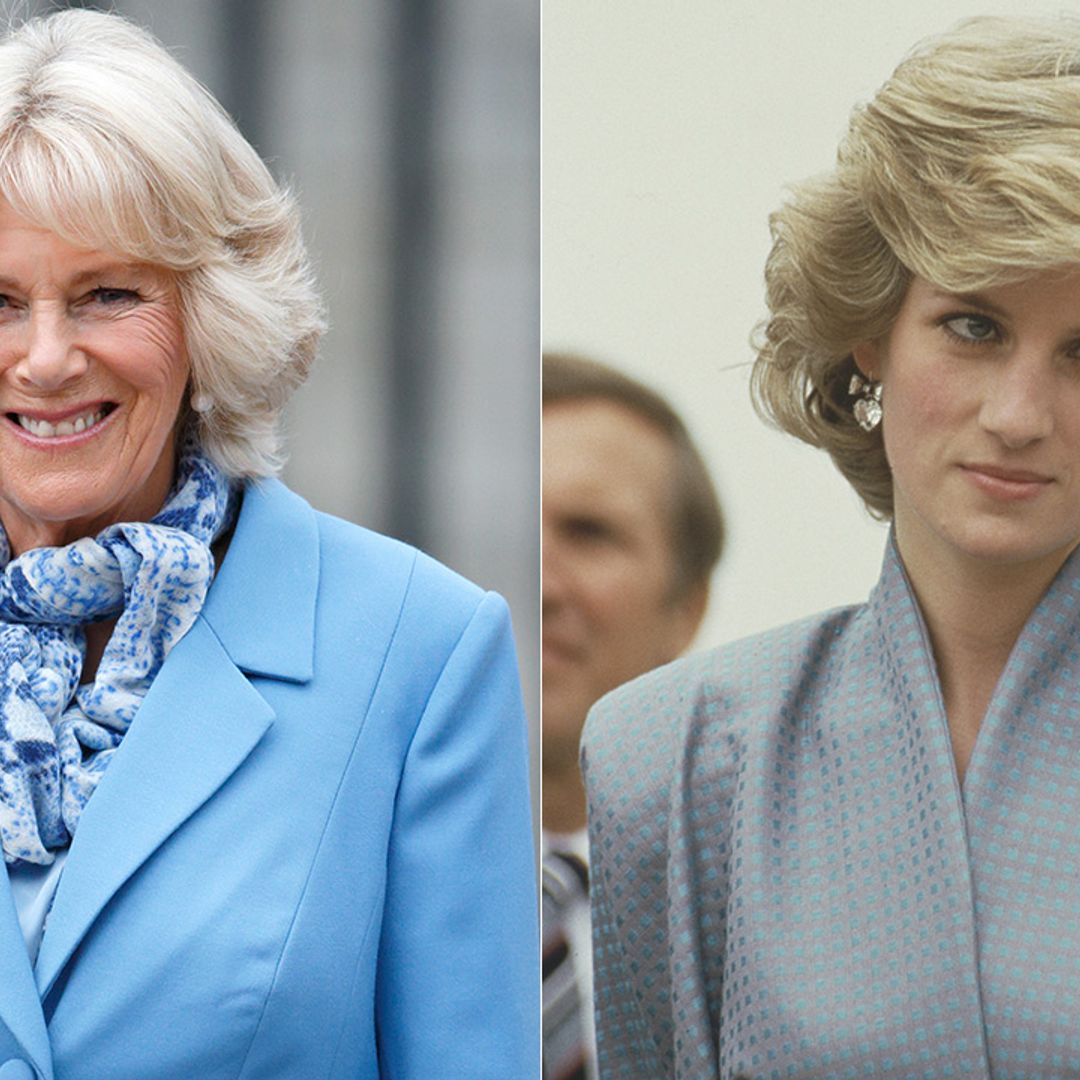 Queen Consort Camilla's coronation dress will have a subtle link to Princess Diana