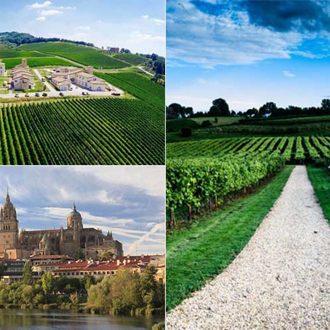 6 incredible European hotels with vineyard views