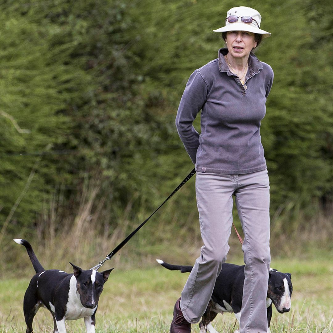 Princess Anne's sprawling garden at Gatcombe Park is home to 'rollercoaster' track