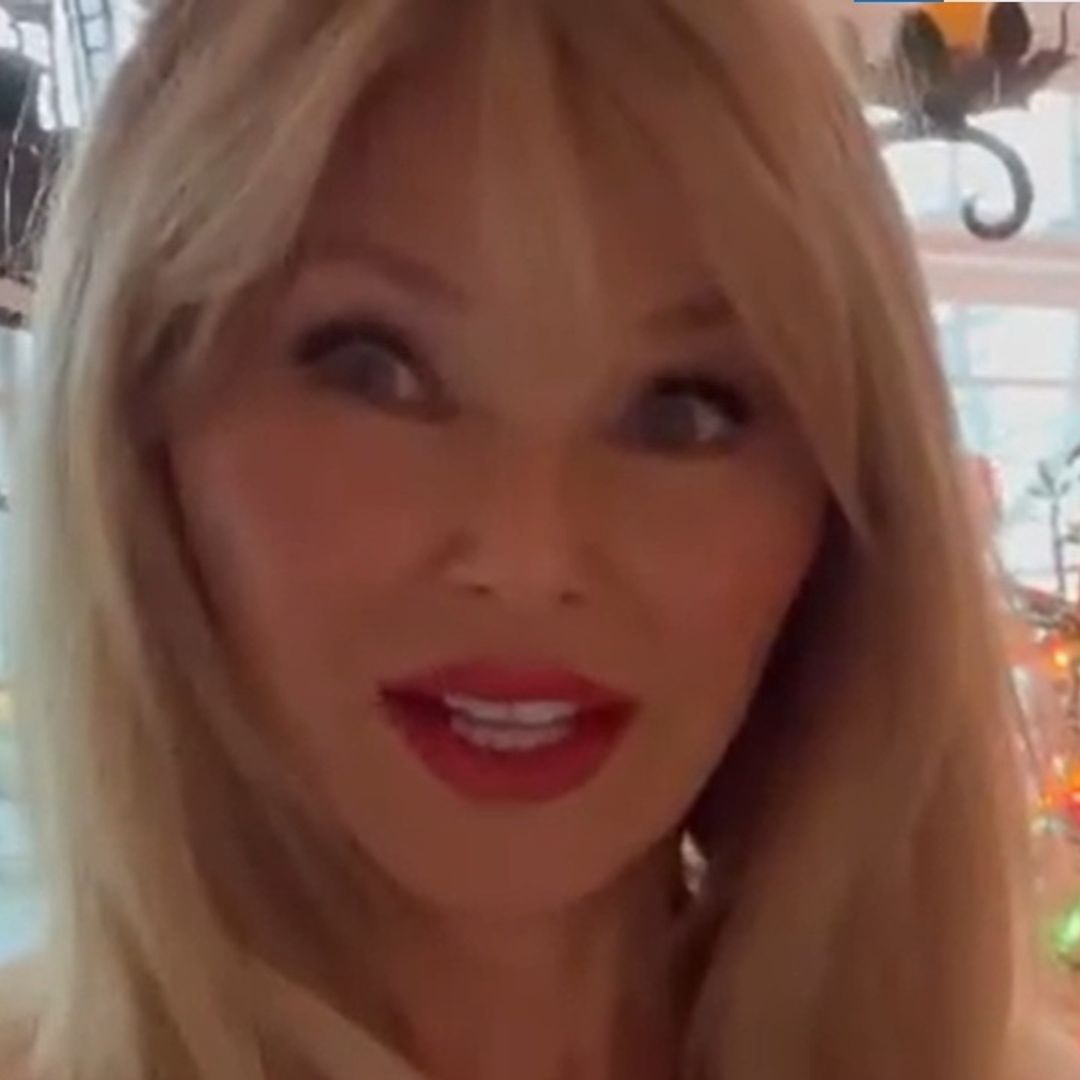 Christie Brinkley wows fans with a very unexpected Christmas tree