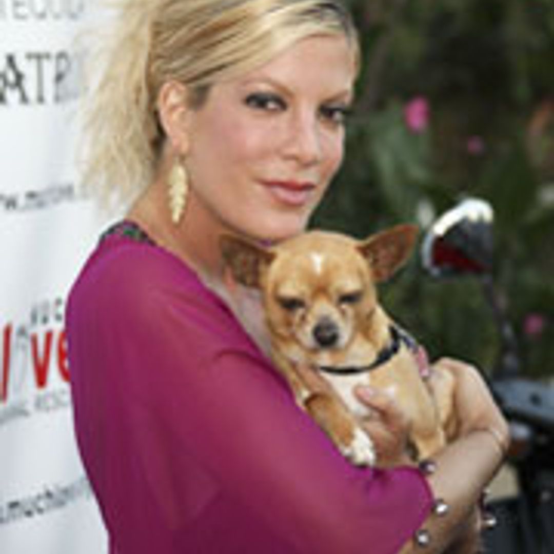 Tori lavishes some canine 'mothering' on new little friend