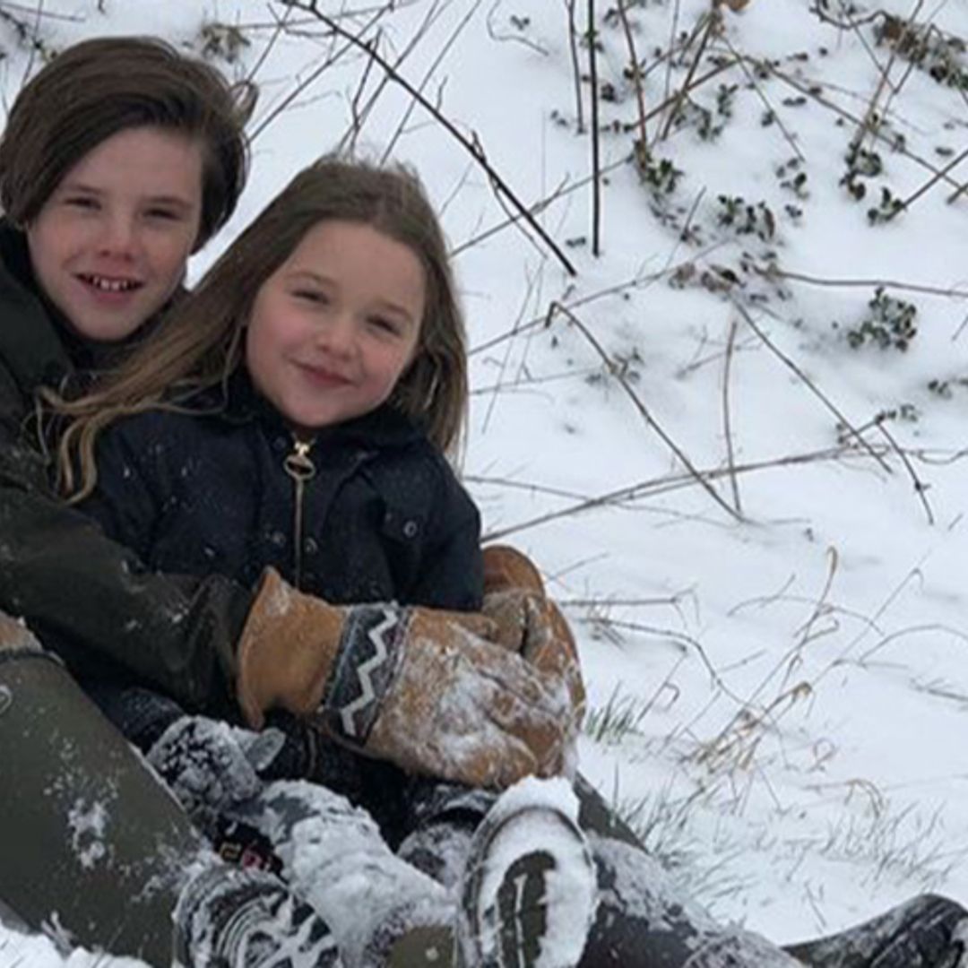 David Beckham takes Cruz and Harper sledging – see all the snowy snaps