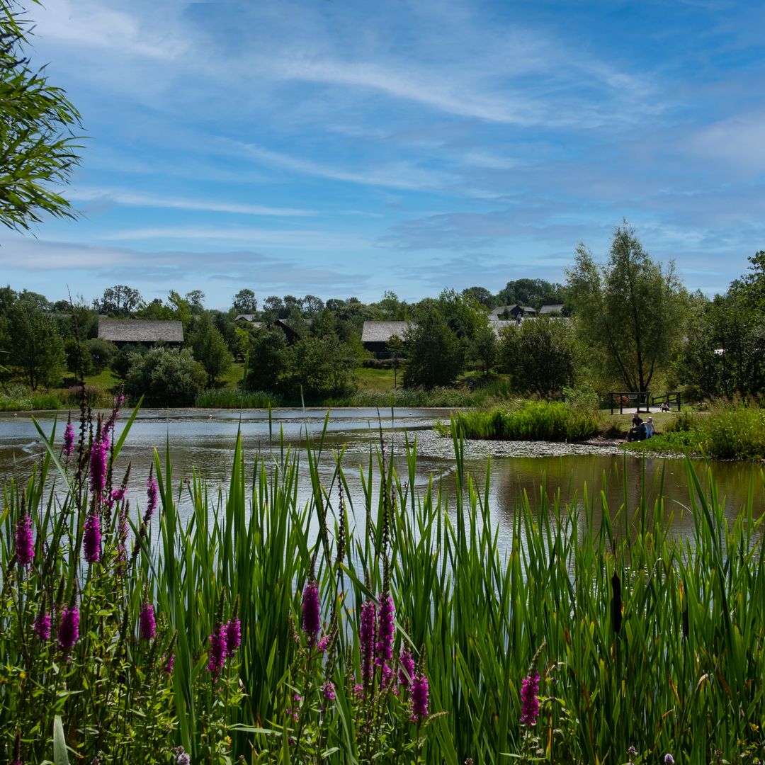 Bluestone National Park Resort: a magical family escape in the heart of Pembrokeshire