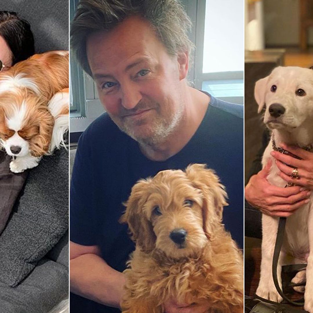 Man's best Friends! Meet Jennifer Aniston, Matthew Perry & co's pet dogs