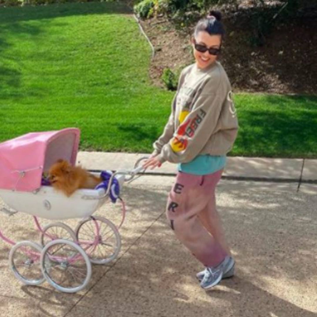 Kourtney Kardashian reveals exciting family news while out with Scott Disick and their children