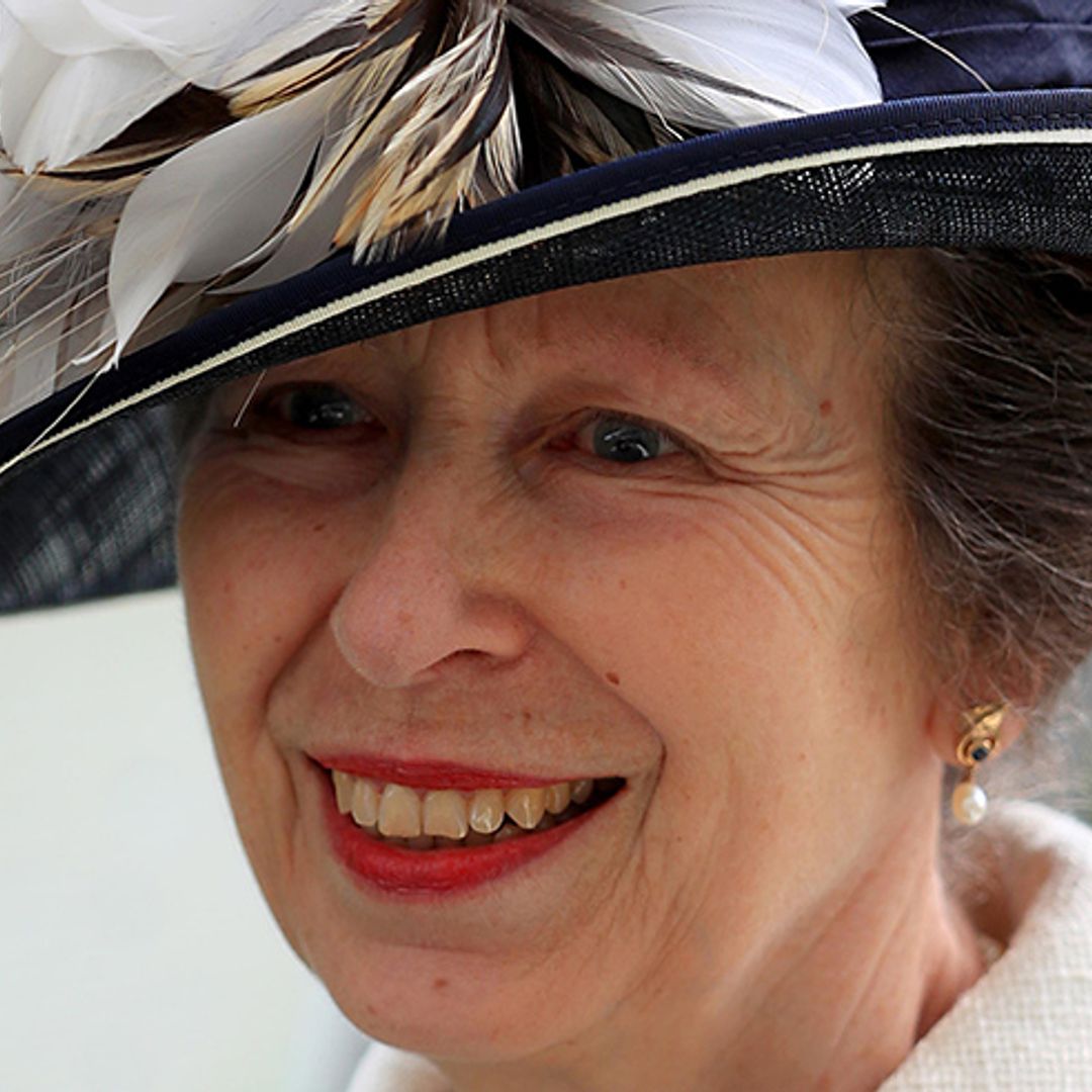 Princess Anne cancels visit to Botswana and Mozambique on doctor's orders