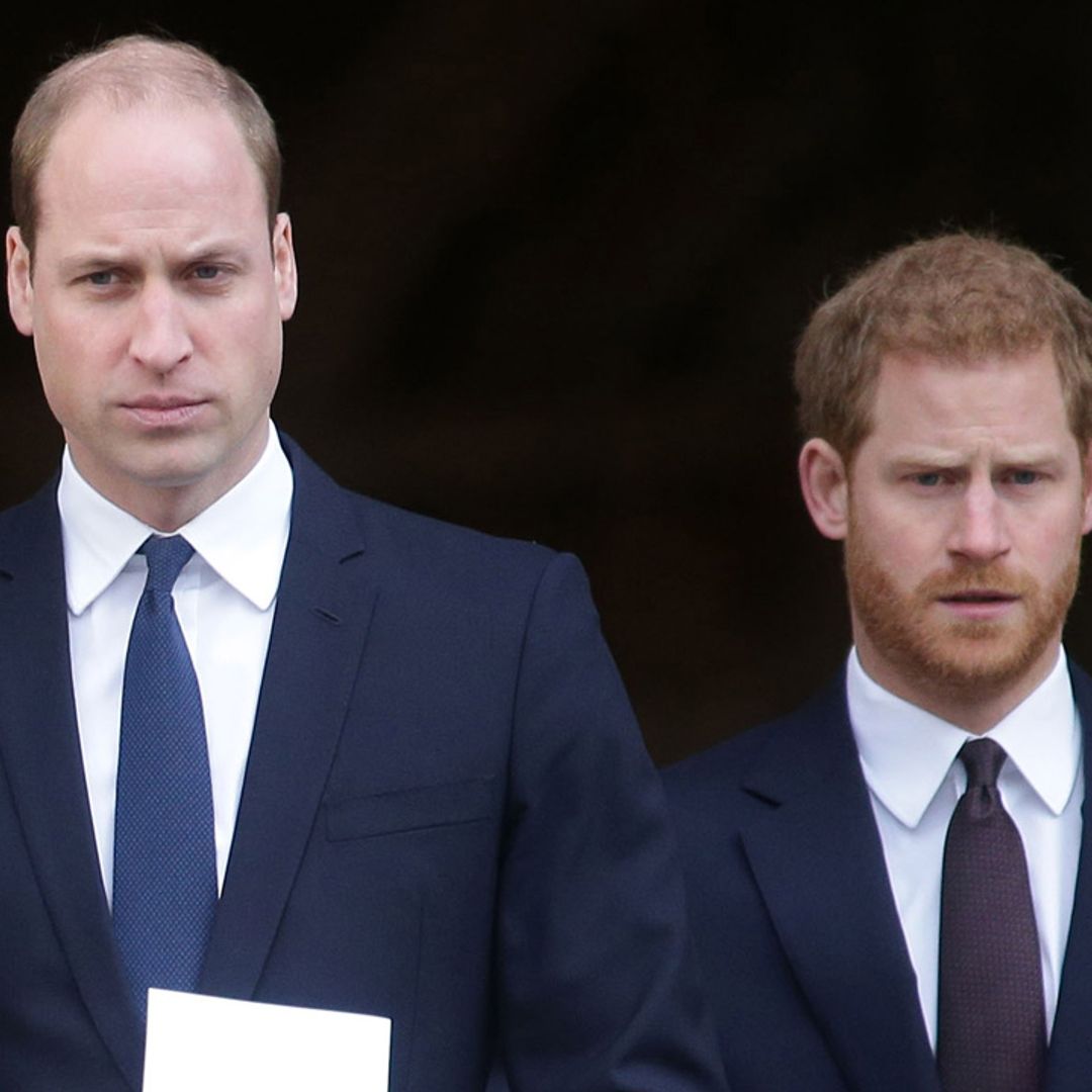 Prince William and Prince Harry mourn loss of family member on Princess Diana's side