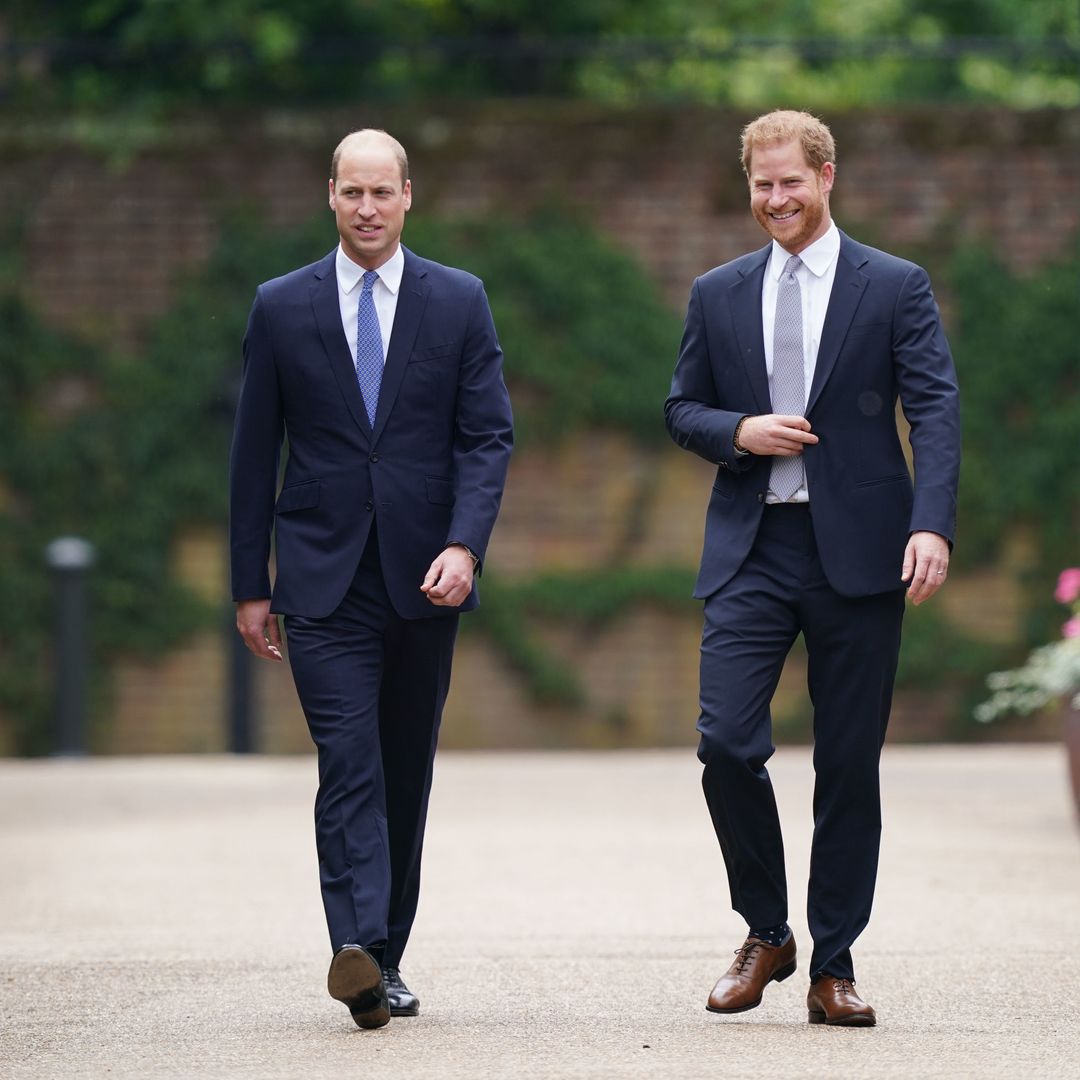Have Princes William and Harry secretly bid on Princess Diana's clothes?
