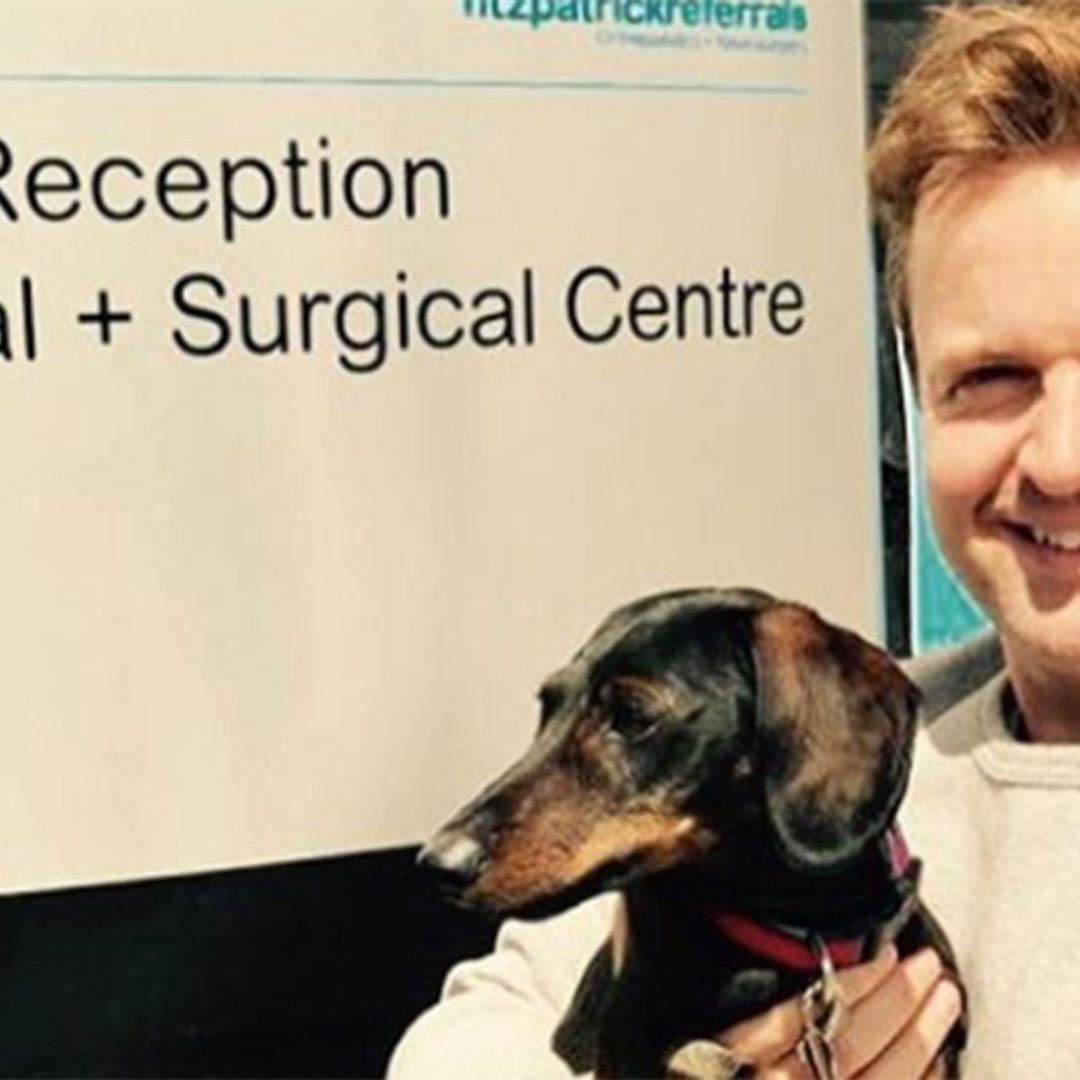 Declan Donnelly thanks supervet for saving his dog