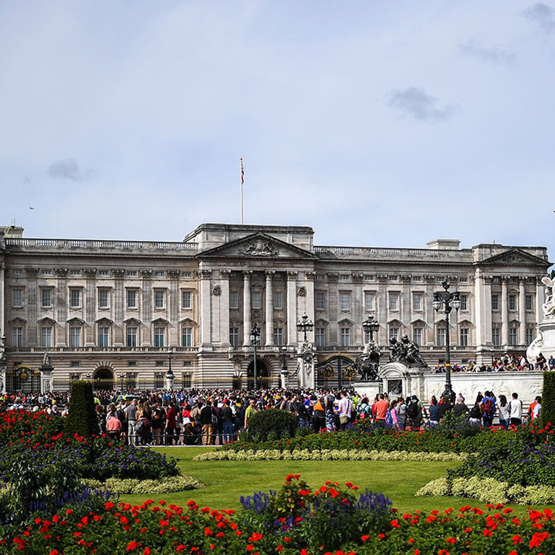 Workers make amazing discovery during Buckingham Palace renovations - see photos