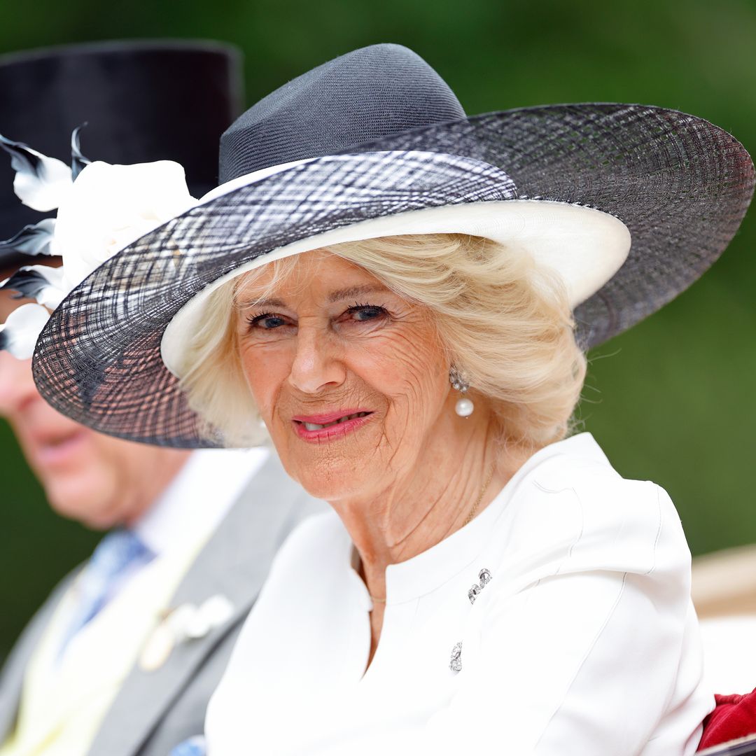 Queen Camilla looks splendid in elegant new birthday portrait