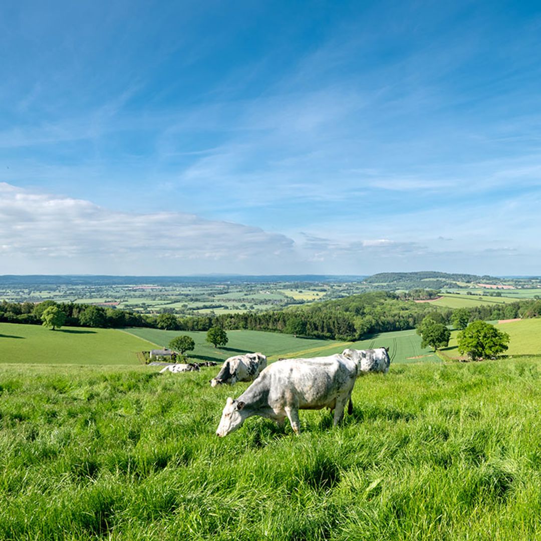 Why the Wye Valley should be next on your staycation list