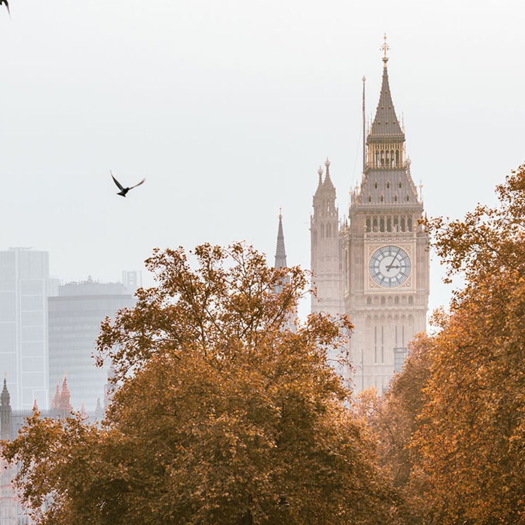 Wonderful things to do in London in October 2025