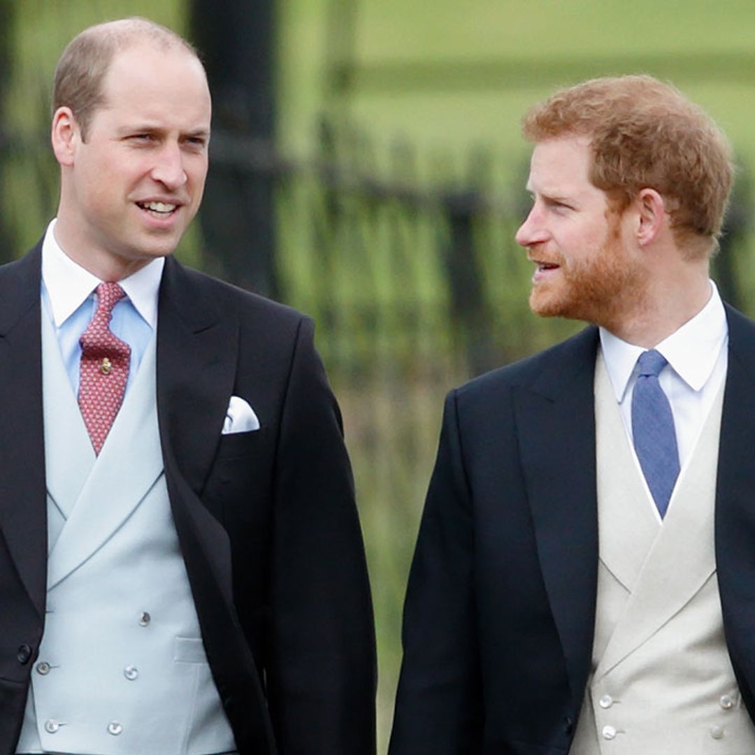 Prince William and Prince Harry agree on beautiful tribute to late mother Princess Diana