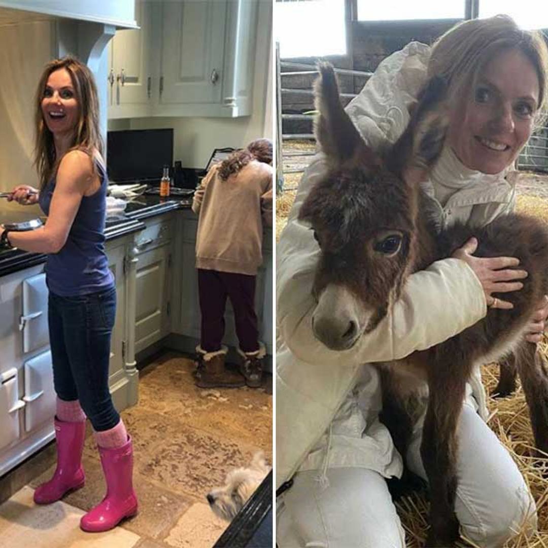 Geri Horner unveils incredible feature inside private home
