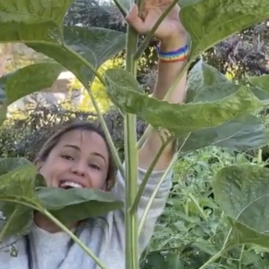 Jennifer Garner's tour of botanical gardens at LA home ends in disaster