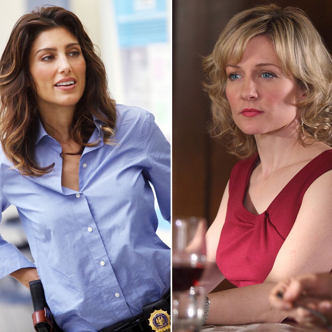 Stars who left Blue Bloods and why: Amy Carlos, Jennifer Esposito & more