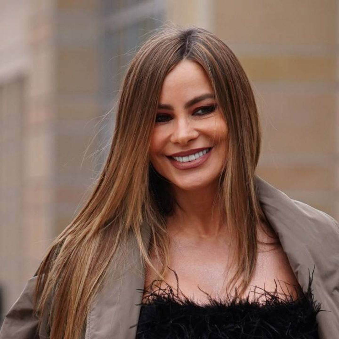 Sofia Vergara reveals new project in behind-the-scenes picture - and it's not what fans think