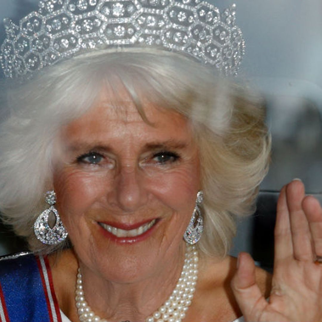 Former Buckingham Palace spokesperson: What Camilla will be like as Prince Charles' Queen Consort