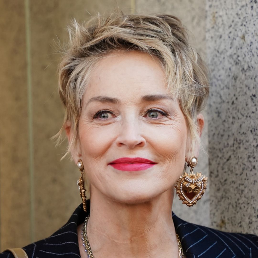 Sharon Stone makes surprising confession about eye-catching red carpet gown