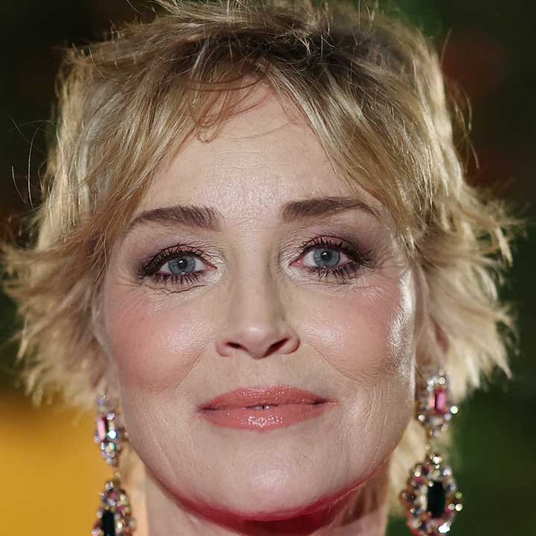 Sharon Stone fights back tears as she breaks silence following brother Patrick's death